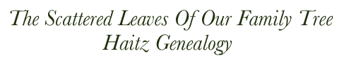 haitz_genealogy